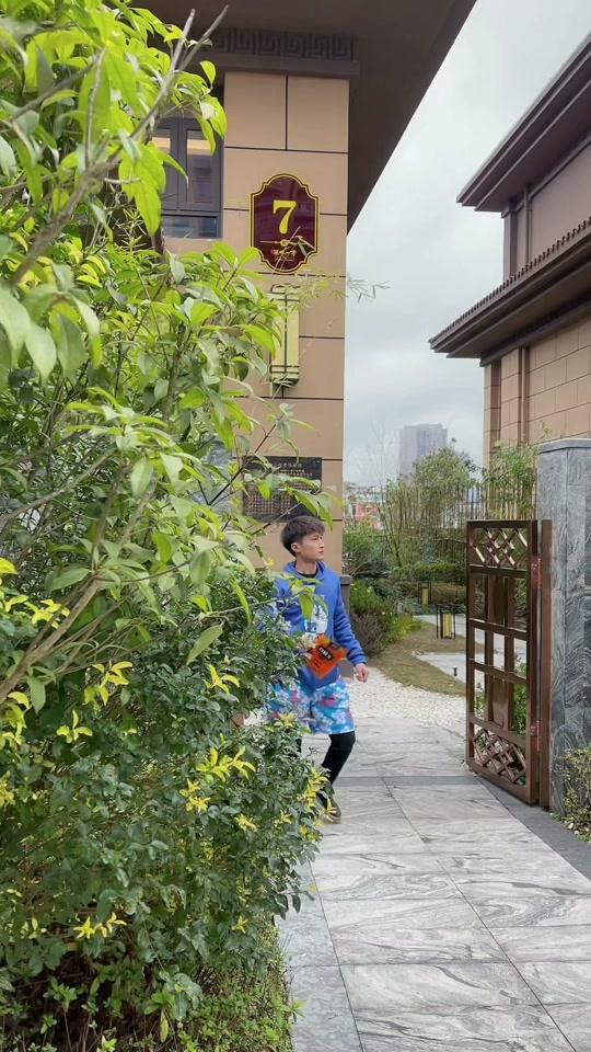 龙安叼