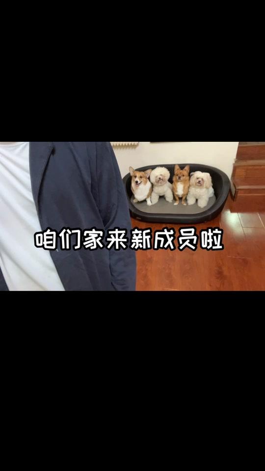 柯铭