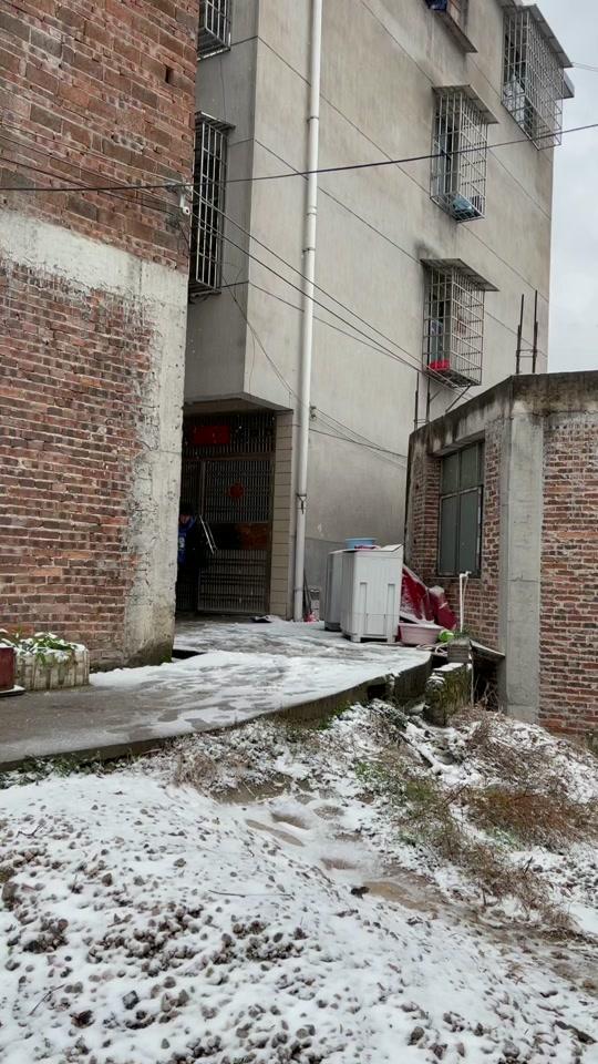 龙安叼