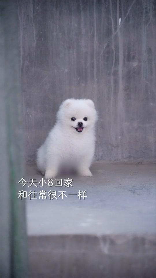 布丁是个戏精_布丁是个戏精个人资料_布丁是个戏精直播间_18183kol