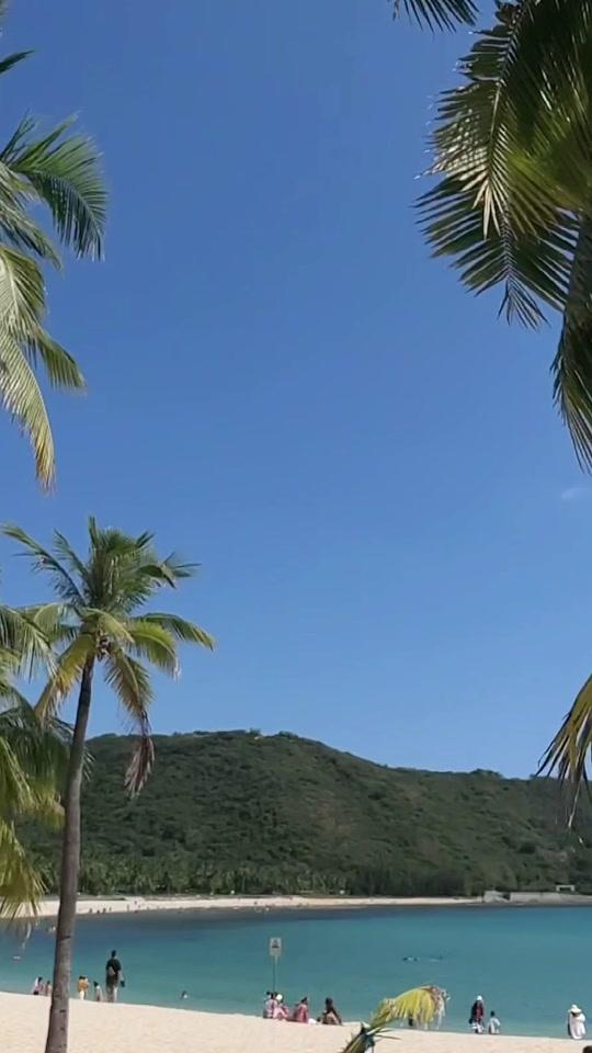 猫爷kihan_猫爷kihan个人资料_猫爷kihan直播间_18183