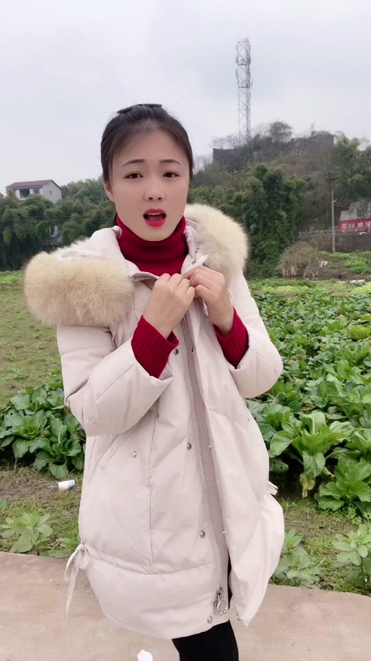 小丽君
