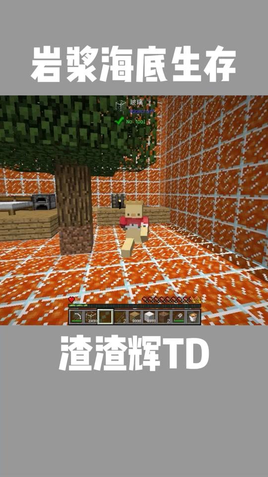 渣渣辉td