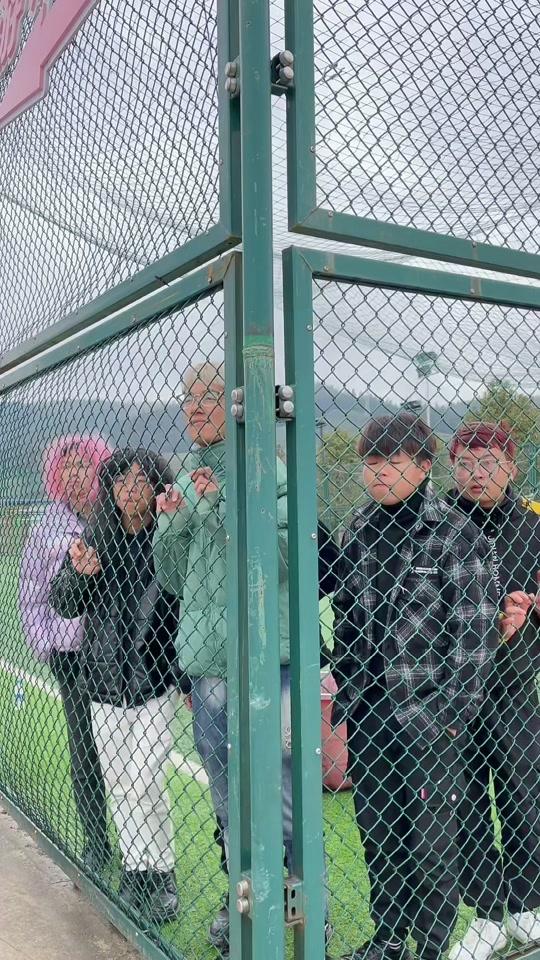 龙安叼