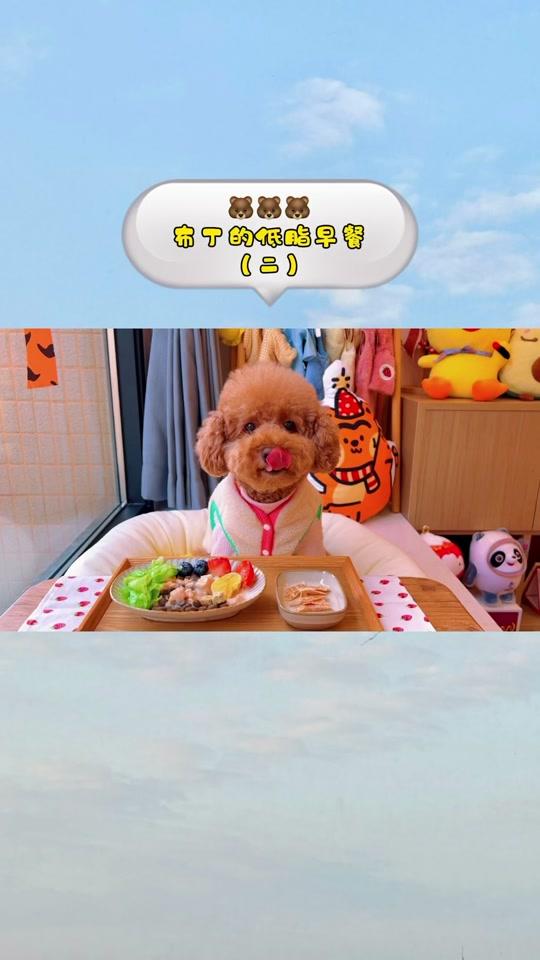安静的布丁妹妹_安静的布丁妹妹个人资料_安静的布丁妹妹直播间_18183
