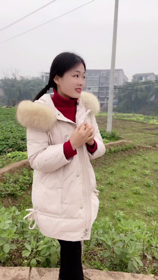 小丽君