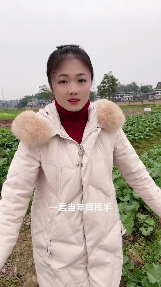 小丽君