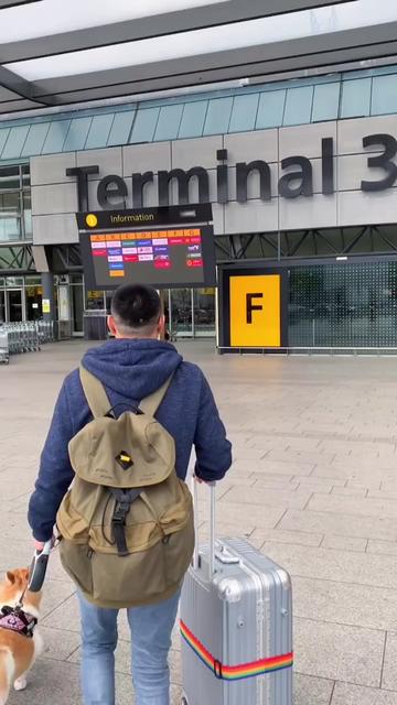 棍哥有"陪伴犬"的证明材料,所以坐美航可以进客舱,而且免费.