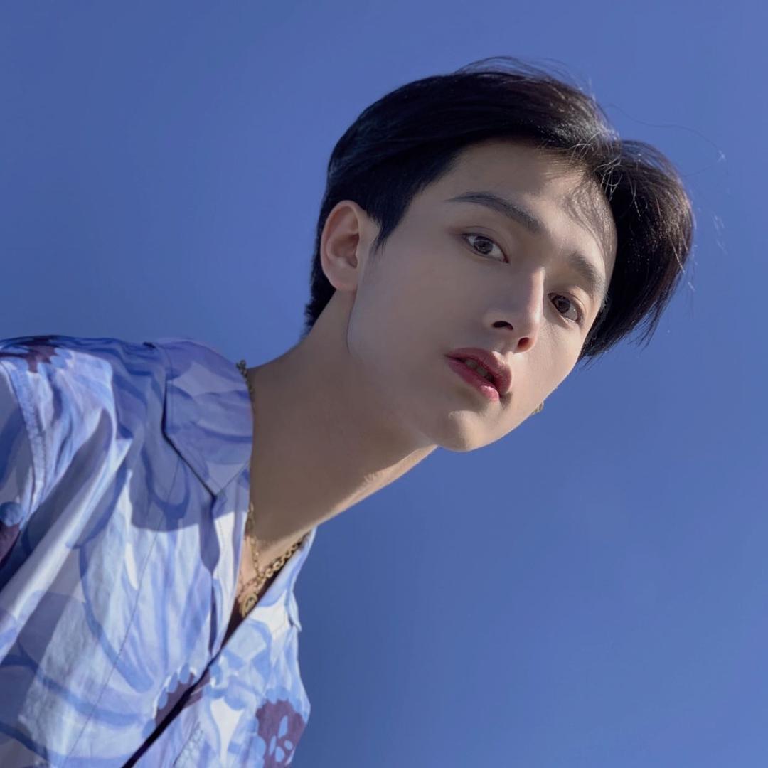 振东哥哥(593593lee)-抖音-优传数据