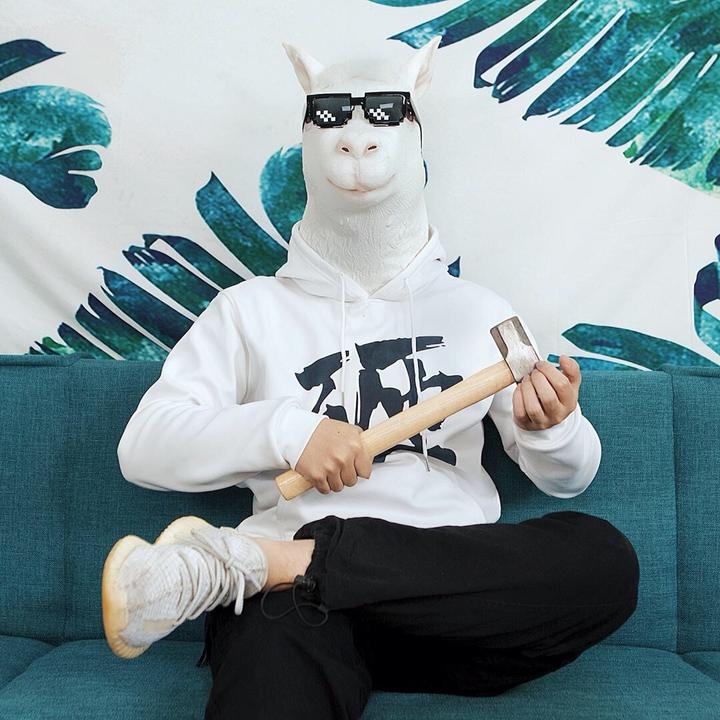 陈泥玛评测数据