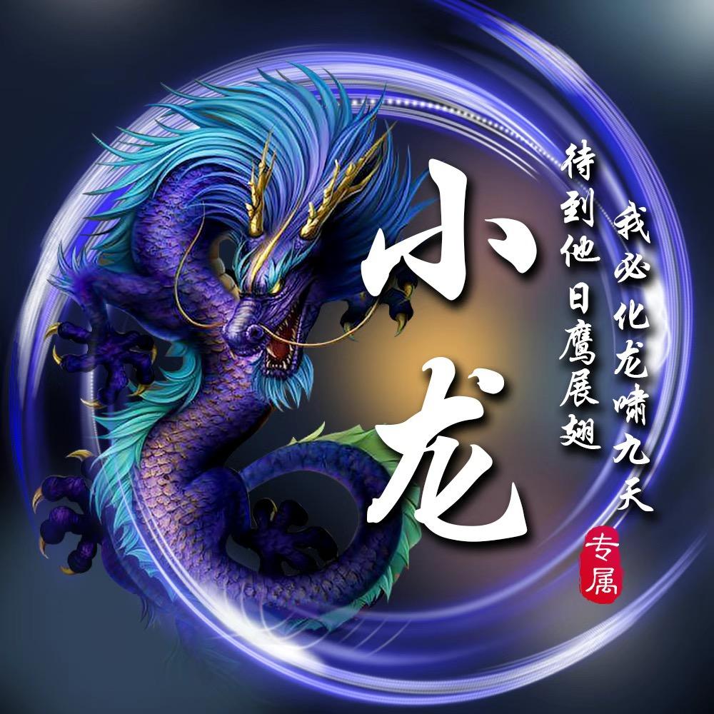 小龙哥头像