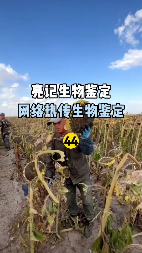 无穷小亮的科普日常