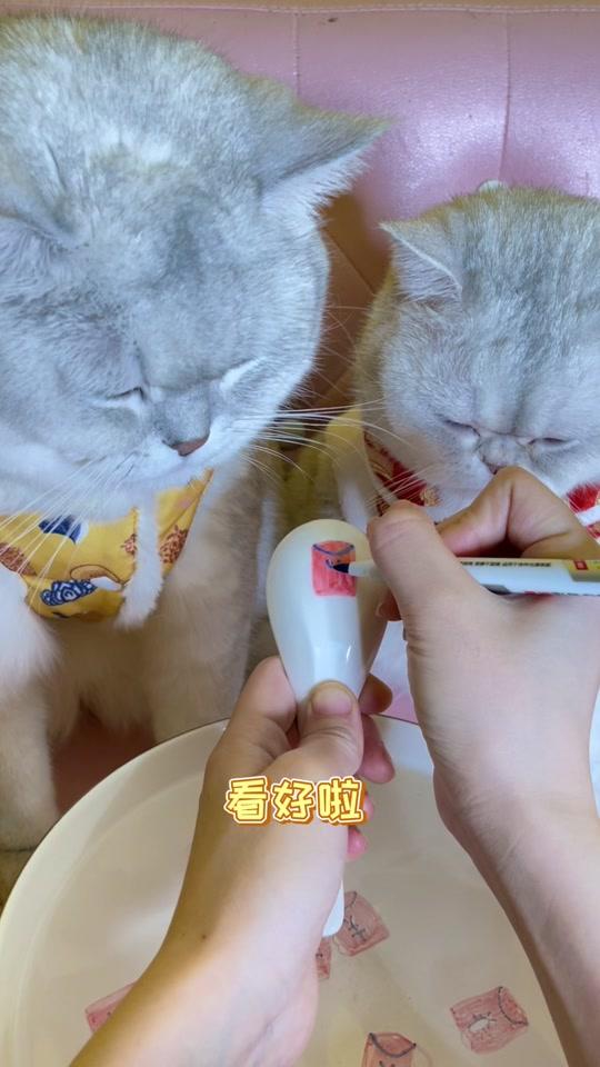 小豆花_小豆花个人资料_小豆花直播间_18183kol_18183网红站