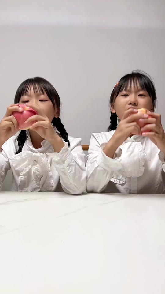 一心一意双胞胎