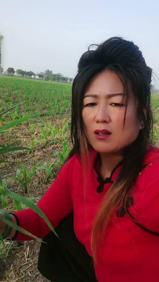 河南大衣姐_河南大衣姐个人资料_河南大衣姐直播间_18183kol_18183网