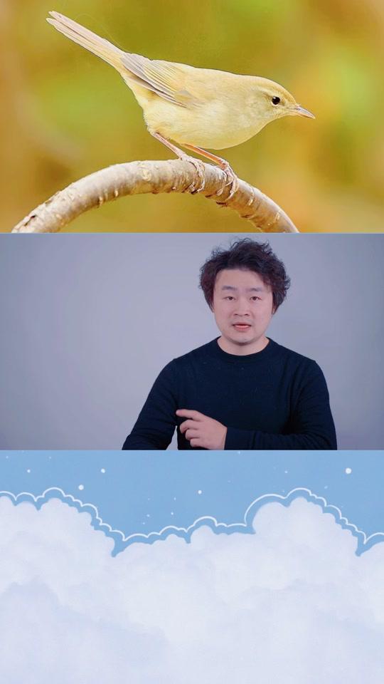 方浩然口技