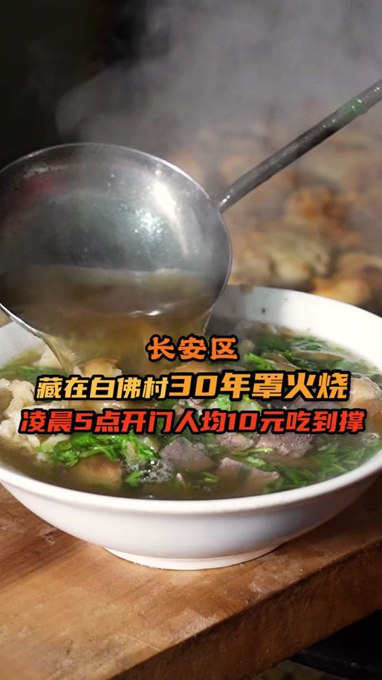 20元吃垮石家庄 @垮哥的日常 @抖音小助手 #中视频伙伴计划视频时长