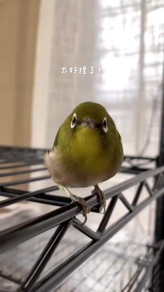 徐峰立_徐峰立个人资料_徐峰立直播间_18183kol_18183网红站