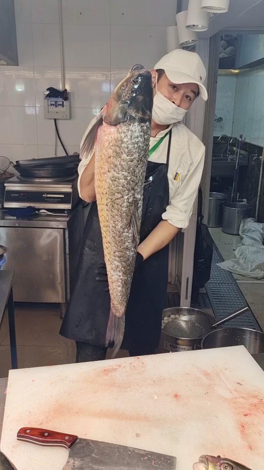 21:11:03视频时长:585秒30斤的大草鱼#刀工 #每天都是新鲜食材 #活鱼