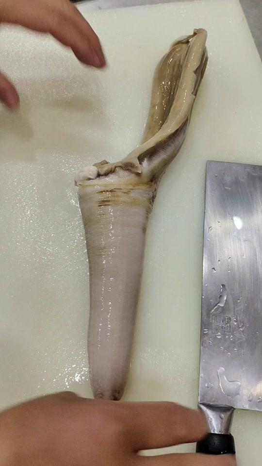 0w2022/07/10 22:07:58视频时长:40秒油脂丰富的杉蚌鱼刺身拼盘视频