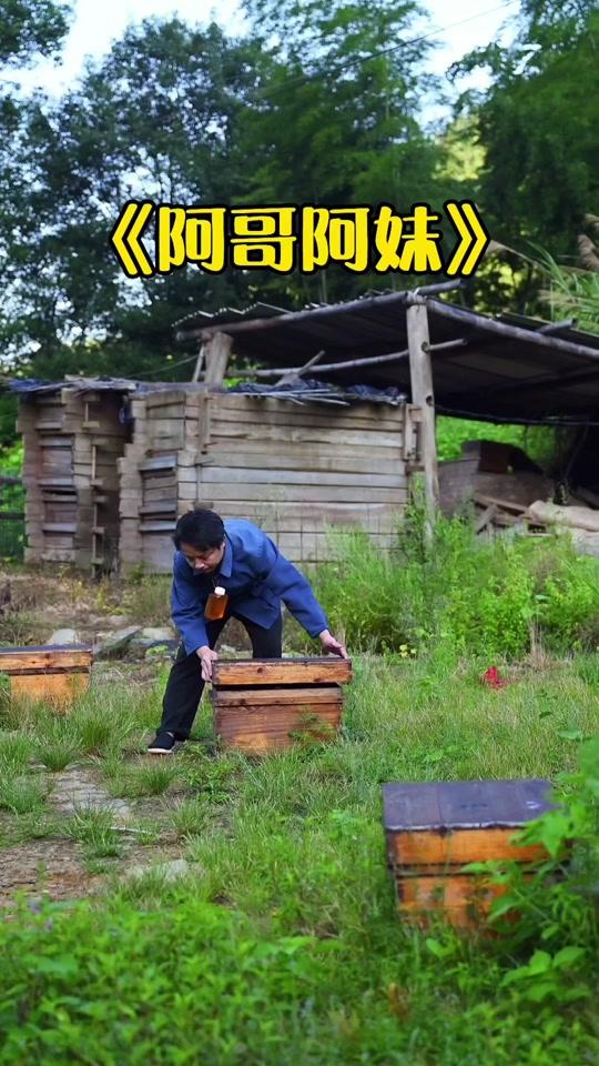养蜂人阿明