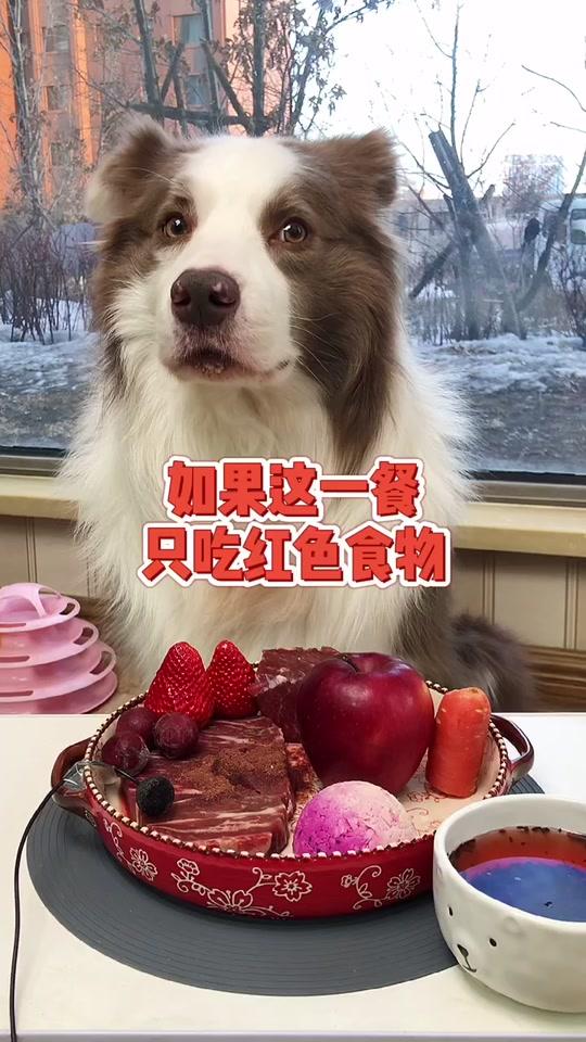 如果只吃红色食物.视频时长:66秒2021/03/01 17:03:391.6w0.