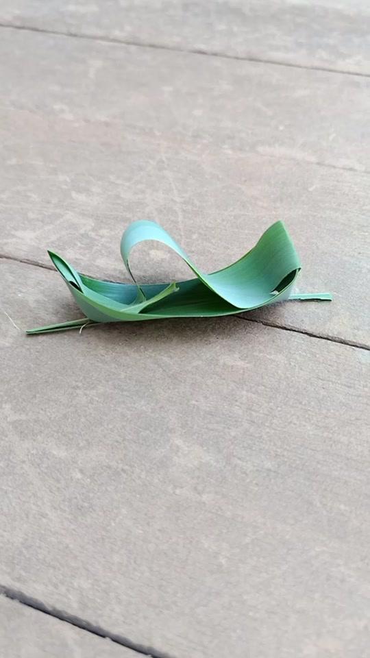 0w14视频详情#编织 #手工diy #小鸟 捡一枝竹叶,编一只小鸟,快乐一