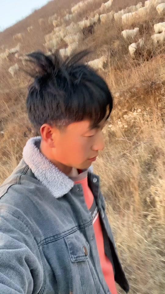 洋少(小羊总)_洋少(小羊总)个人资料_洋少(小羊总)直播间_18183kol