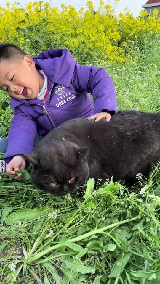 猫叔唯一_猫叔唯一个人资料_猫叔唯一直播间_18183kol_18183网红站