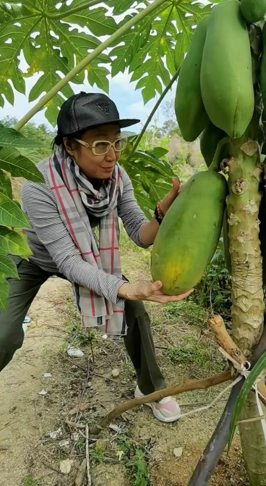 潘结_潘结个人资料_潘结直播间_18183kol_18183网红站