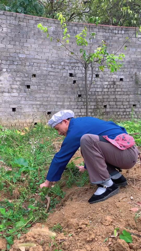 表叔娘三表嫂_表叔娘三表嫂个人资料_表叔娘三表嫂直播间_18183kol