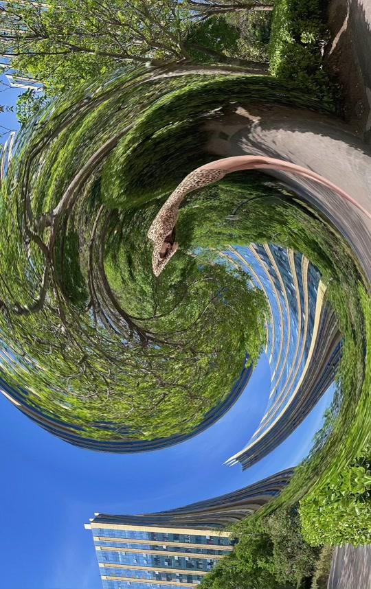 健康管理师个人资料_罗显婷-健康管理师直播间_18183kol_18183网赫揪