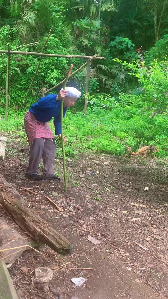 表叔娘三表嫂_表叔娘三表嫂个人资料_表叔娘三表嫂直播间_18183kol