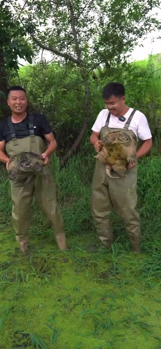 小飞哥包下一口十年没干过的荒塘,据说里面有一百多斤的巨物,想不到
