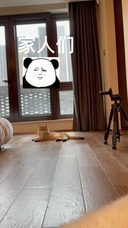 森爸的日常_森爸的日常个人资料_森爸的日常直播间_18183kol_18183网