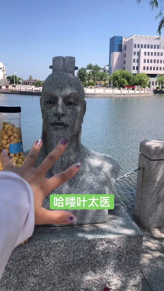 刘老师和她的叶太医