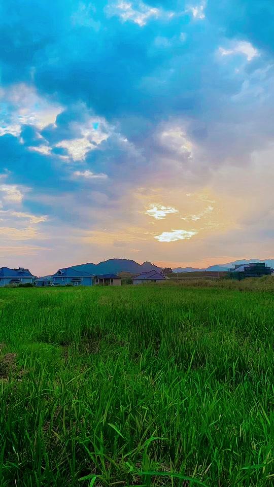 想家了吗?#治愈系风景 #田园生活 #我的完美旅行 #新农人计划2021