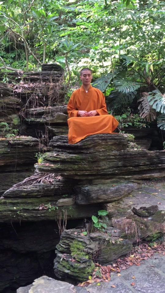 释悟慧_释悟慧个人资料_释悟慧直播间_18183kol_18183网红站