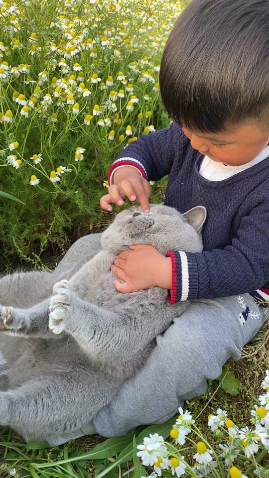 猫叔唯一_猫叔唯一个人资料_猫叔唯一直播间_18183kol_18183网红站