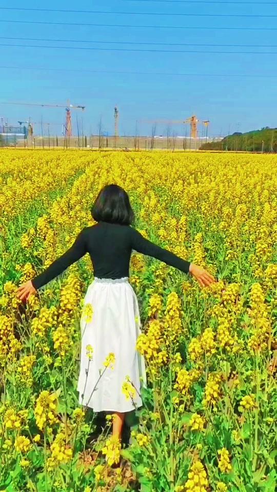 70后大姐姐手机摄影