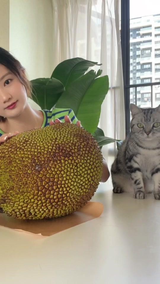 0w73视频详情宅家吹着空调吃瓜～#日常vlog   #西瓜91视频时长:22秒