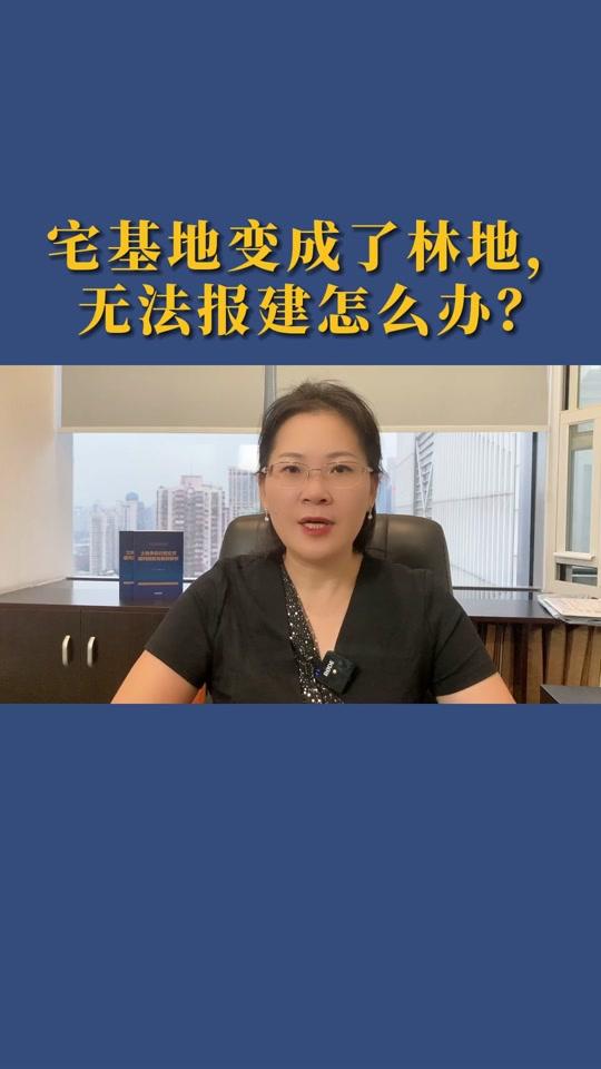 宋静律师福律阁土地诉讼团队