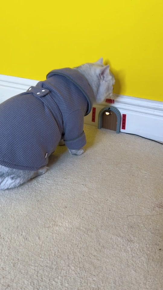 小豆花_小豆花个人资料_小豆花直播间_18183kol_18183网红站