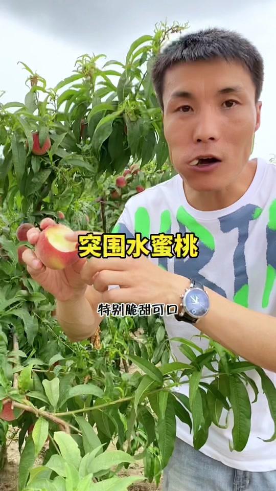 大秦虎哥_大秦虎哥个人资料_大秦虎哥直播间_18183kol_18183网红站