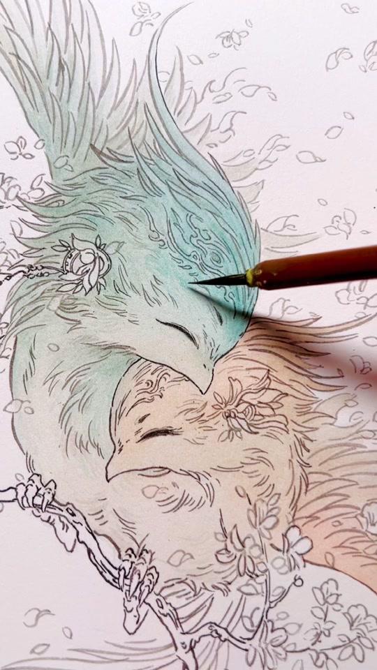 杉泽_杉泽个人资料_杉泽直播间_18183kol_18183网红站