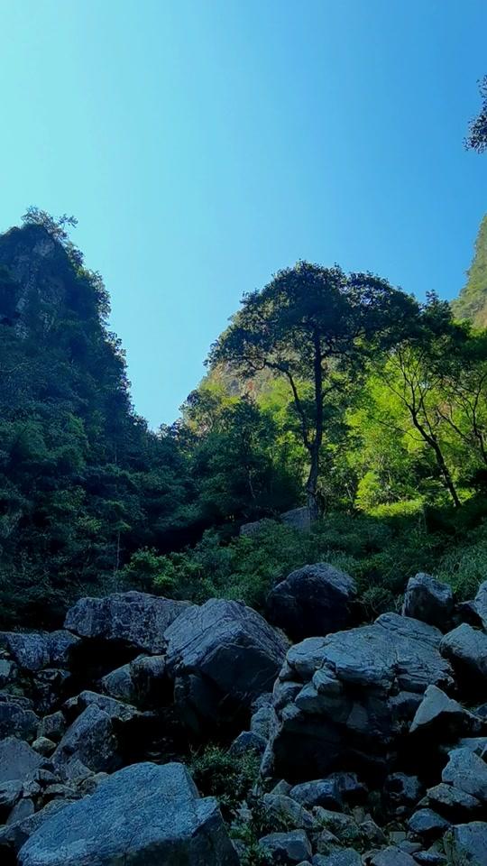 王子淇的乡村生活_王子淇的乡村生活个人资料_王子淇的乡村生活直播间