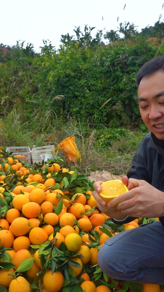 小江农社_小江农社个人资料_小江农社直播间_18183kol_18183网红站