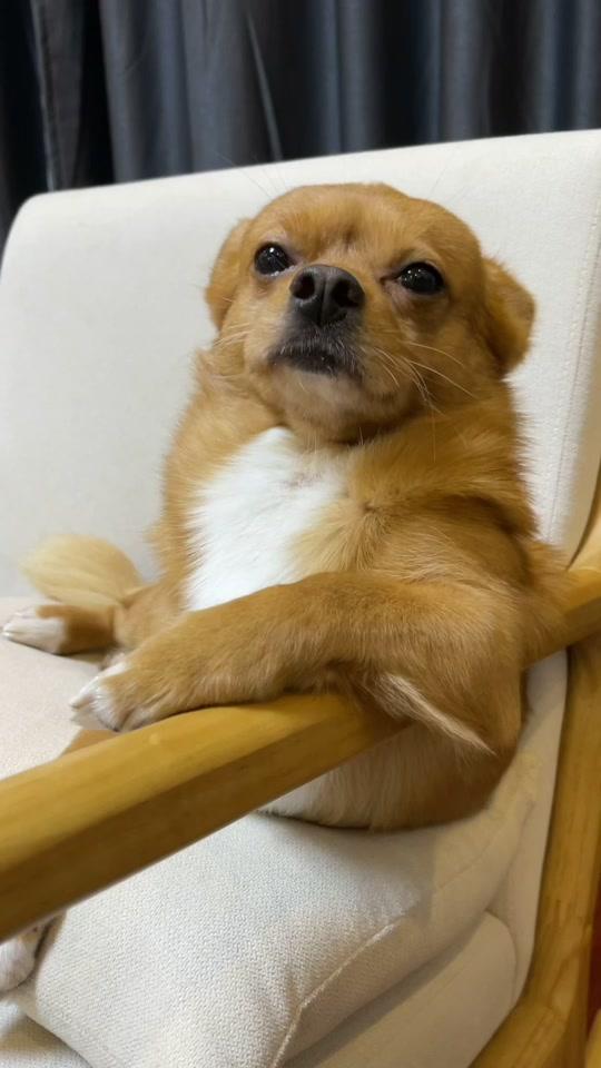 柯铭的沙雕艺术生活