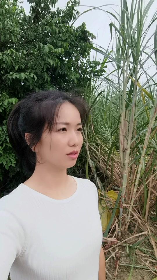 黄丽萍9899_黄丽萍9899个人资料_黄丽萍9899直播间_18183