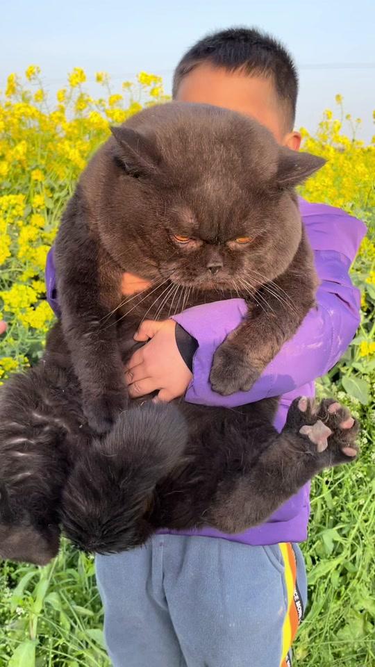 猫叔唯一_猫叔唯一个人资料_猫叔唯一直播间_18183kol_18183网红站